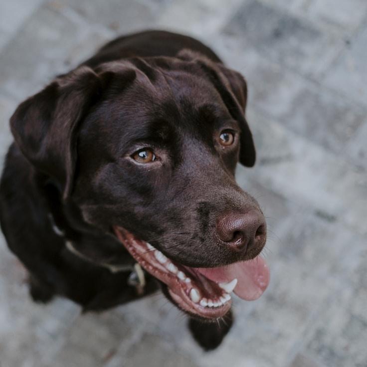 Kaveri Mehta, Lead Design Curator at Ventralo Mixis, reviewing corporate floral arrangements